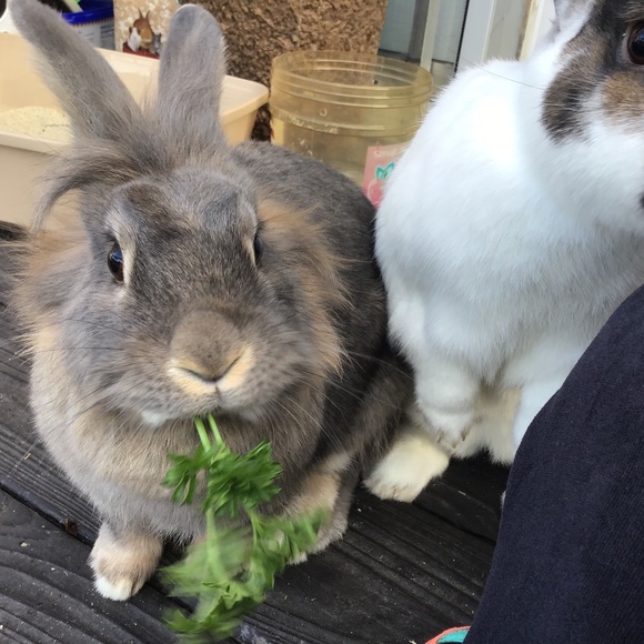 Meet your Posher, Jennifer - Picture 1 of 1